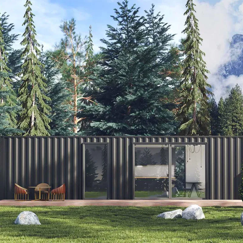 Roisin 40ft Container Home