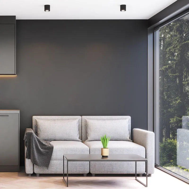 Shipping Container Home