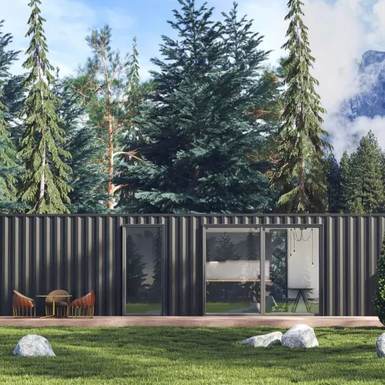 Roisin 40feet Container Home